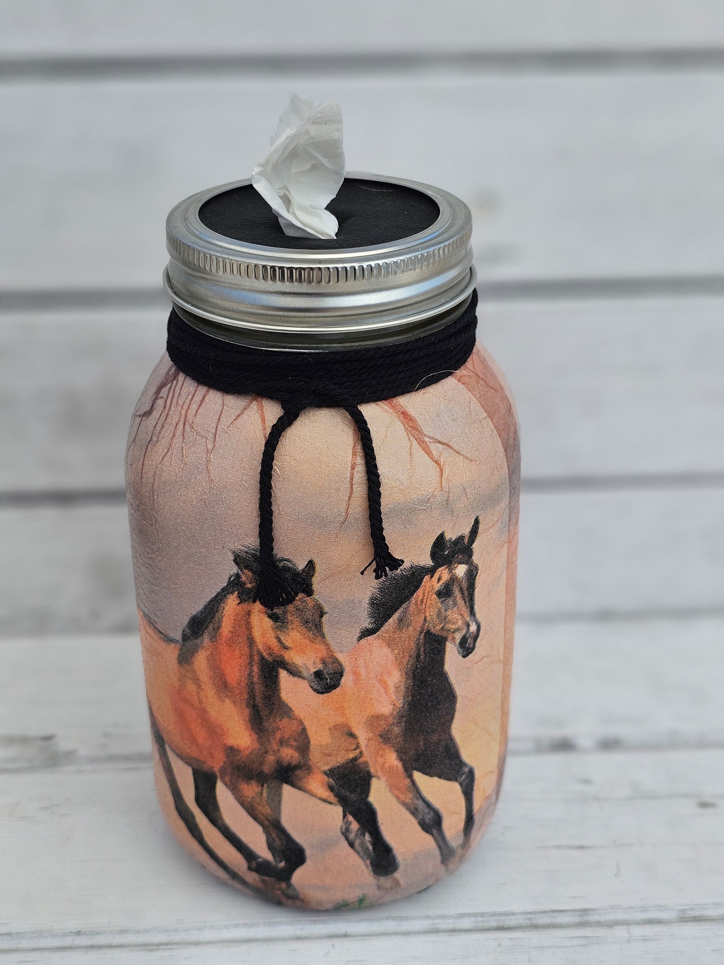 Decorative Tissue Jar ( Horse)