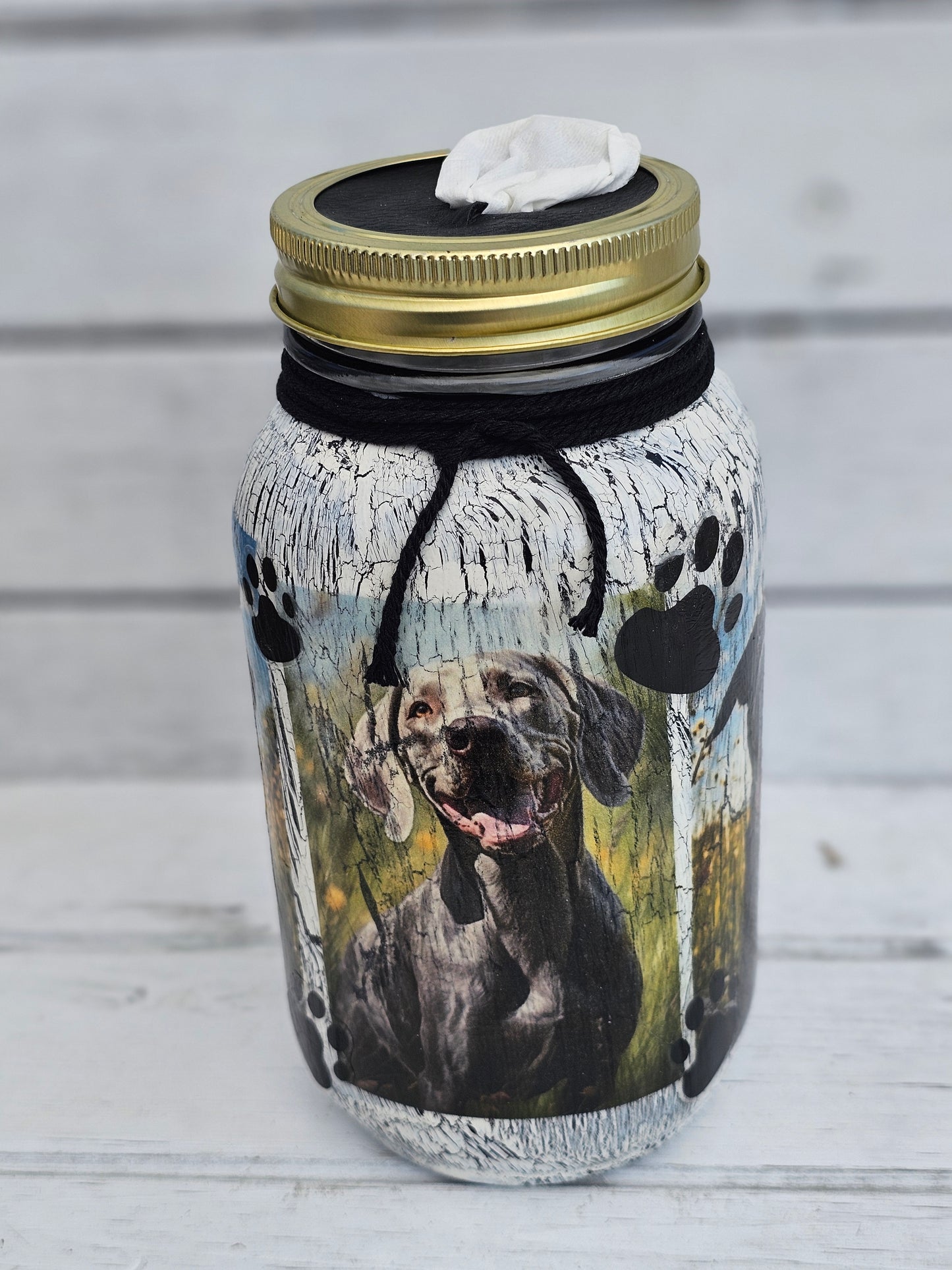Decorative Tissue Jar (Dog Multi Breed)