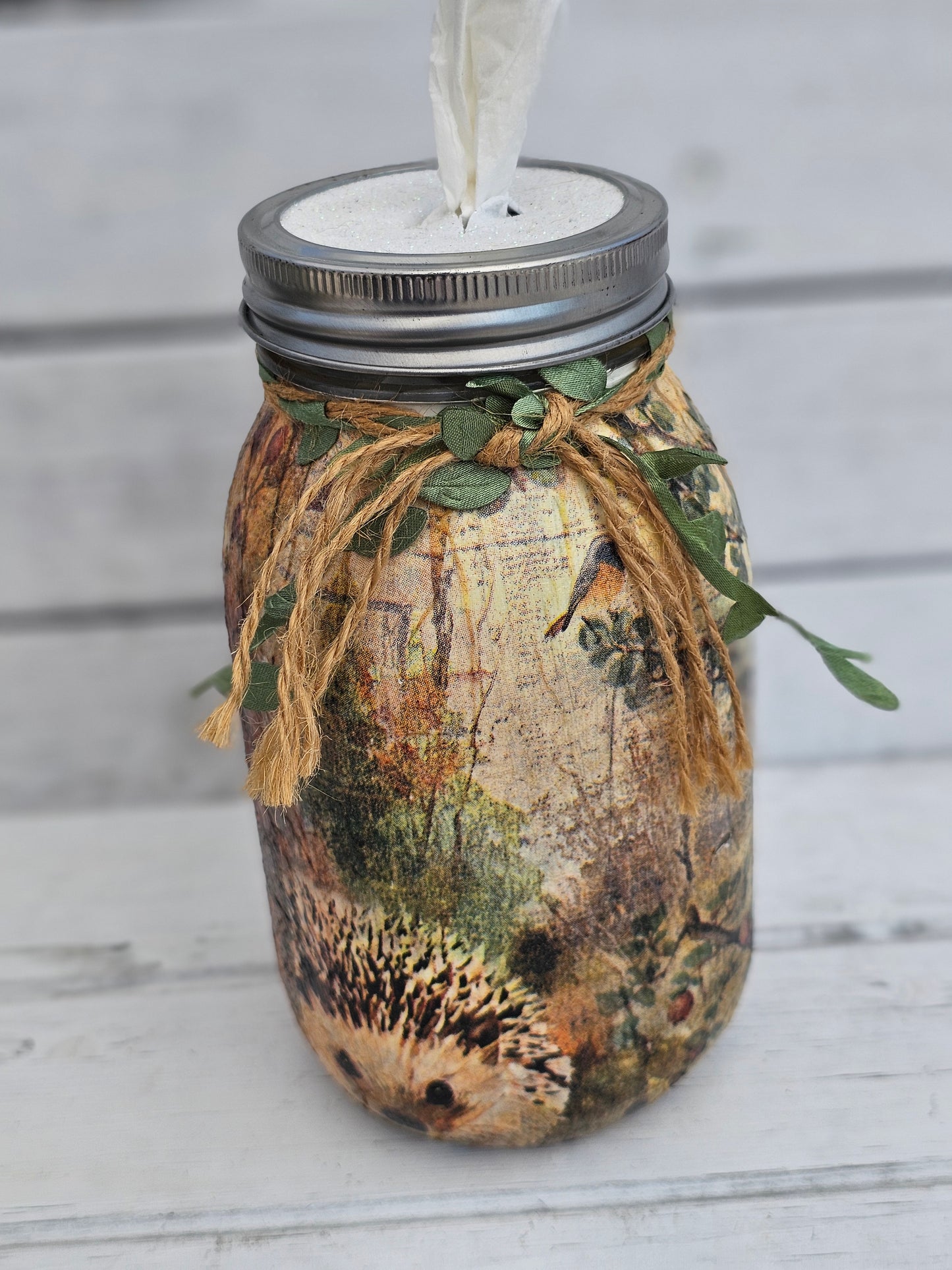 Decorative Tissue Jar (Hedgehog)