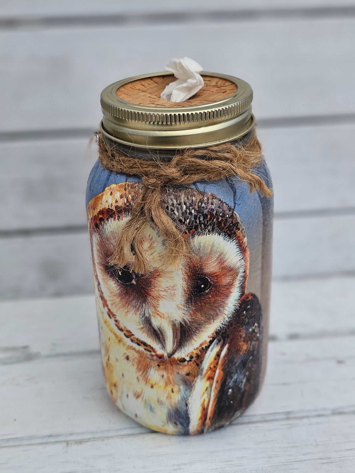 Decorative Tissue Jar ( Owl )