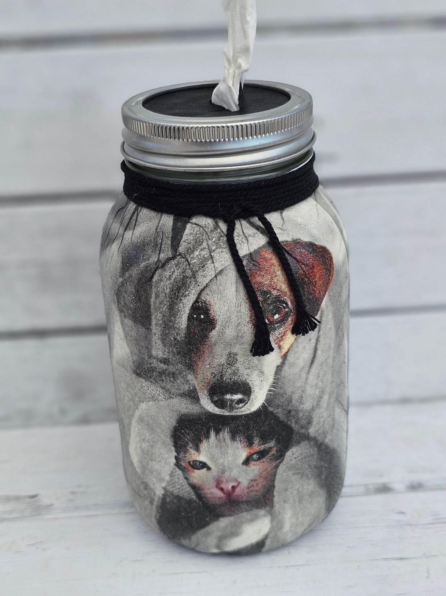 Decorative Tissue Jar (Dog / Cat)