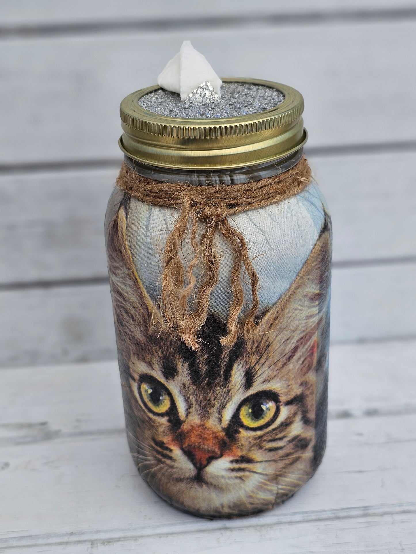 Decorative Tissue Jar (Cat)