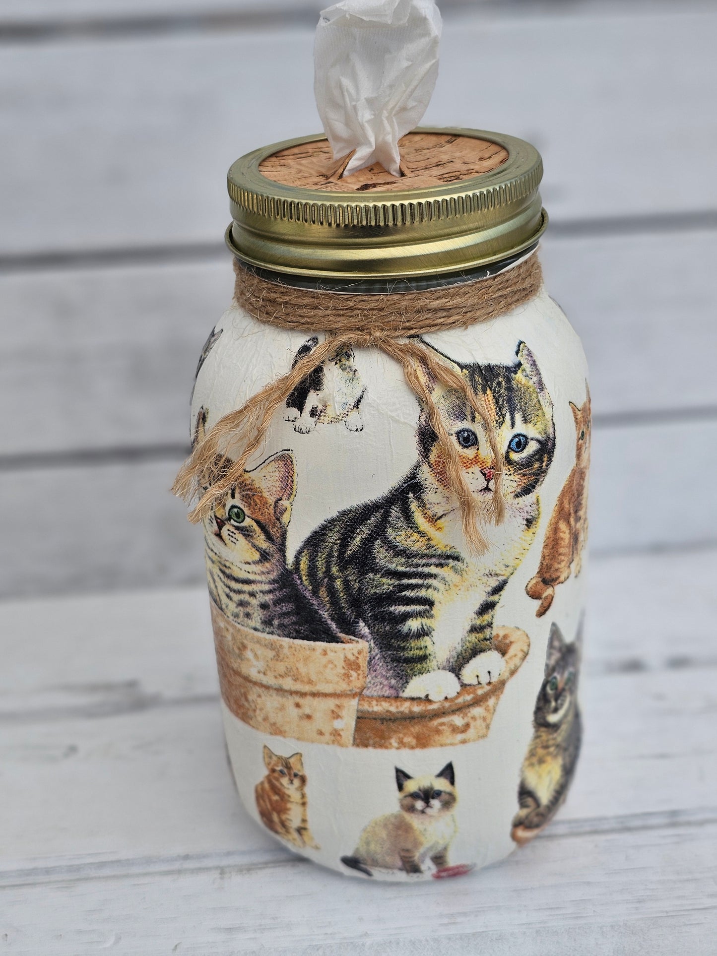 Decorative Tissue Jar (Cat)