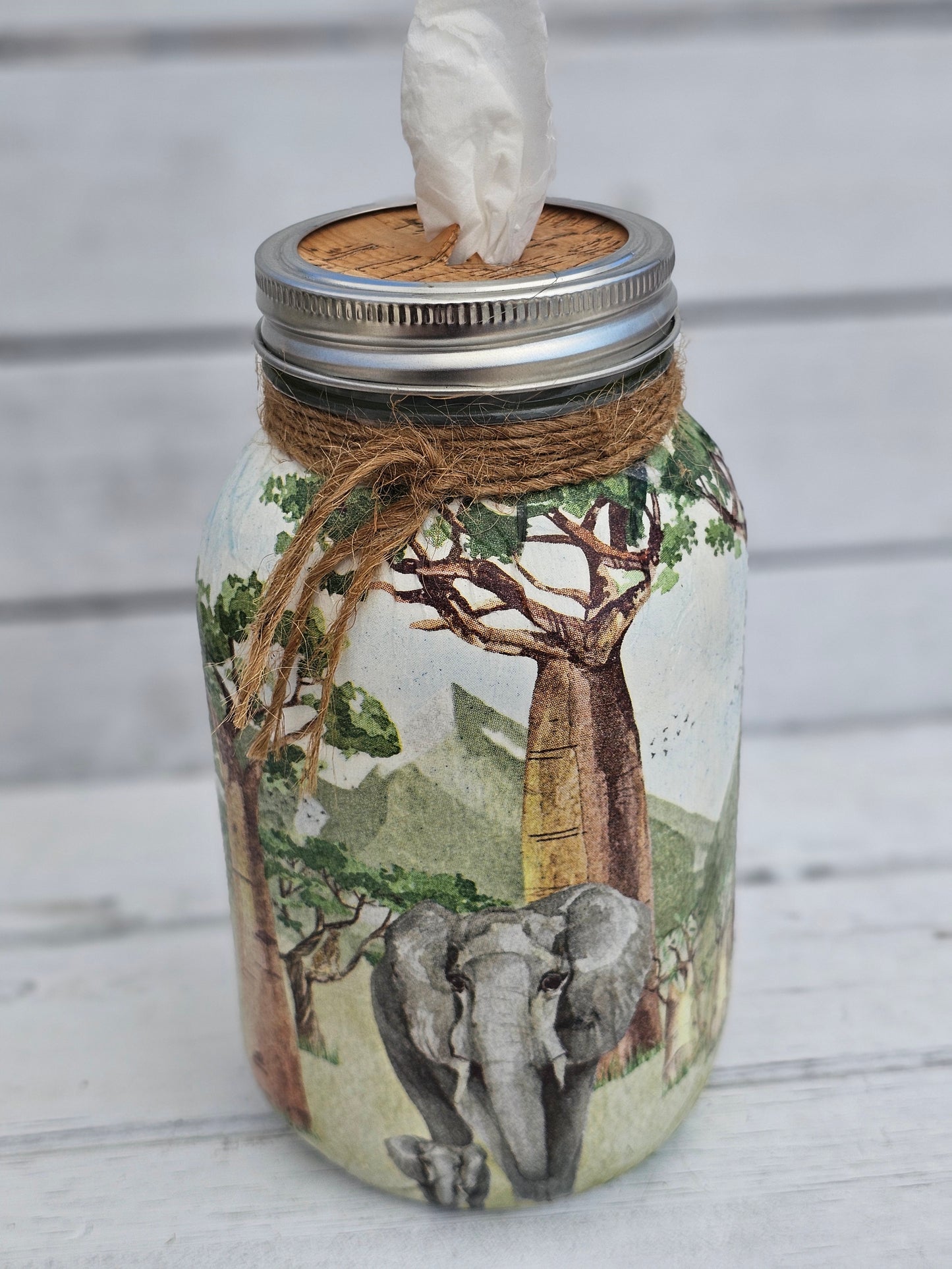 Decorative Tissue Jar (Animals)