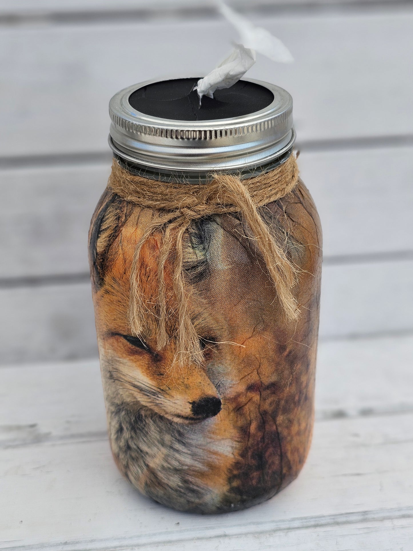 Decorative Tissue Jar (Animals)